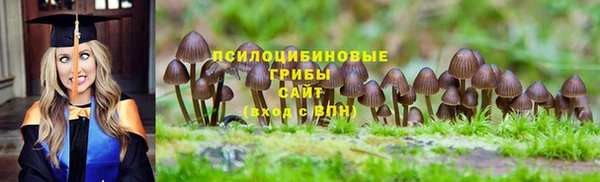 шишки Баксан