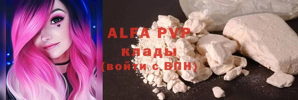 шишки Баксан