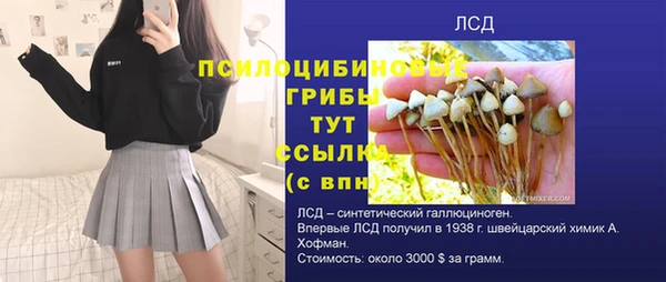 шишки Баксан