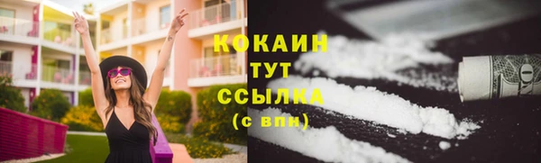шишки Баксан