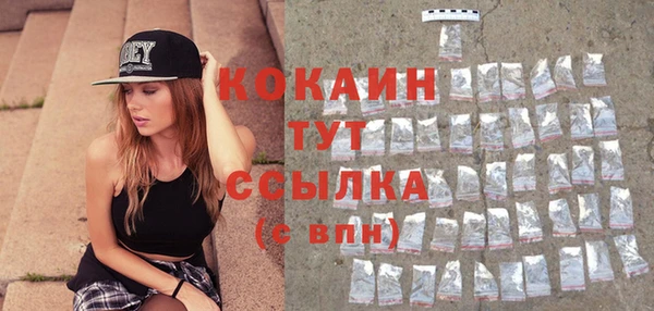 шишки Баксан