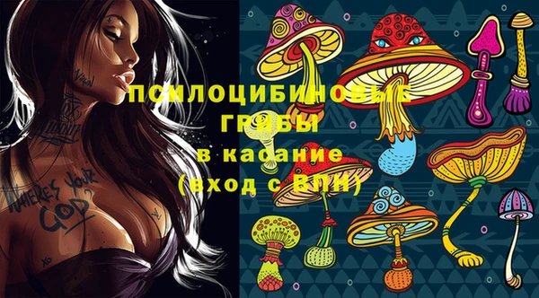 шишки Баксан